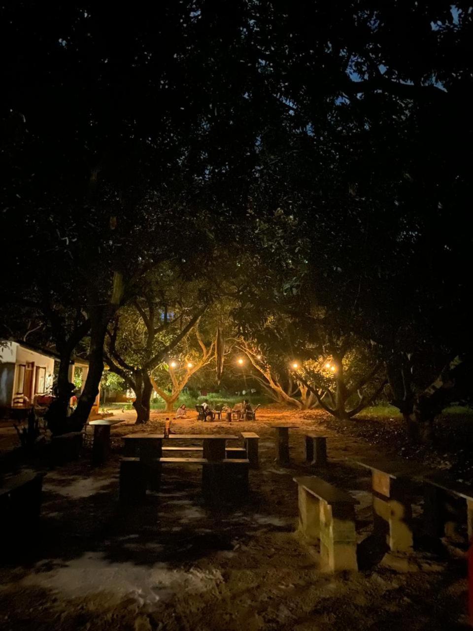 Art Forest Ποντισερί Εξωτερικό φωτογραφία