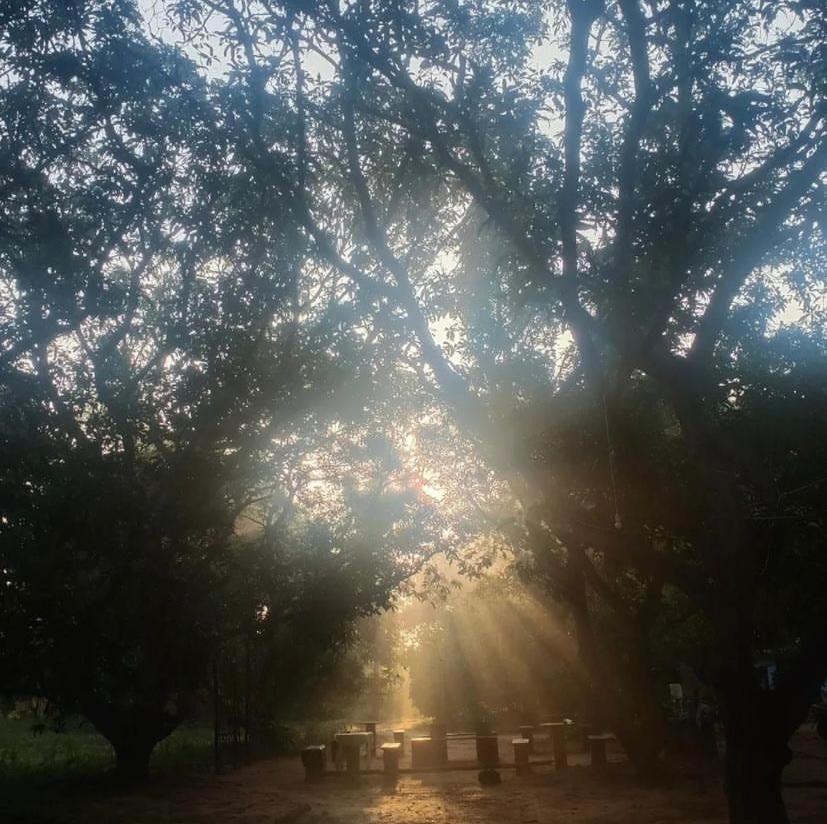 Art Forest Ποντισερί Εξωτερικό φωτογραφία