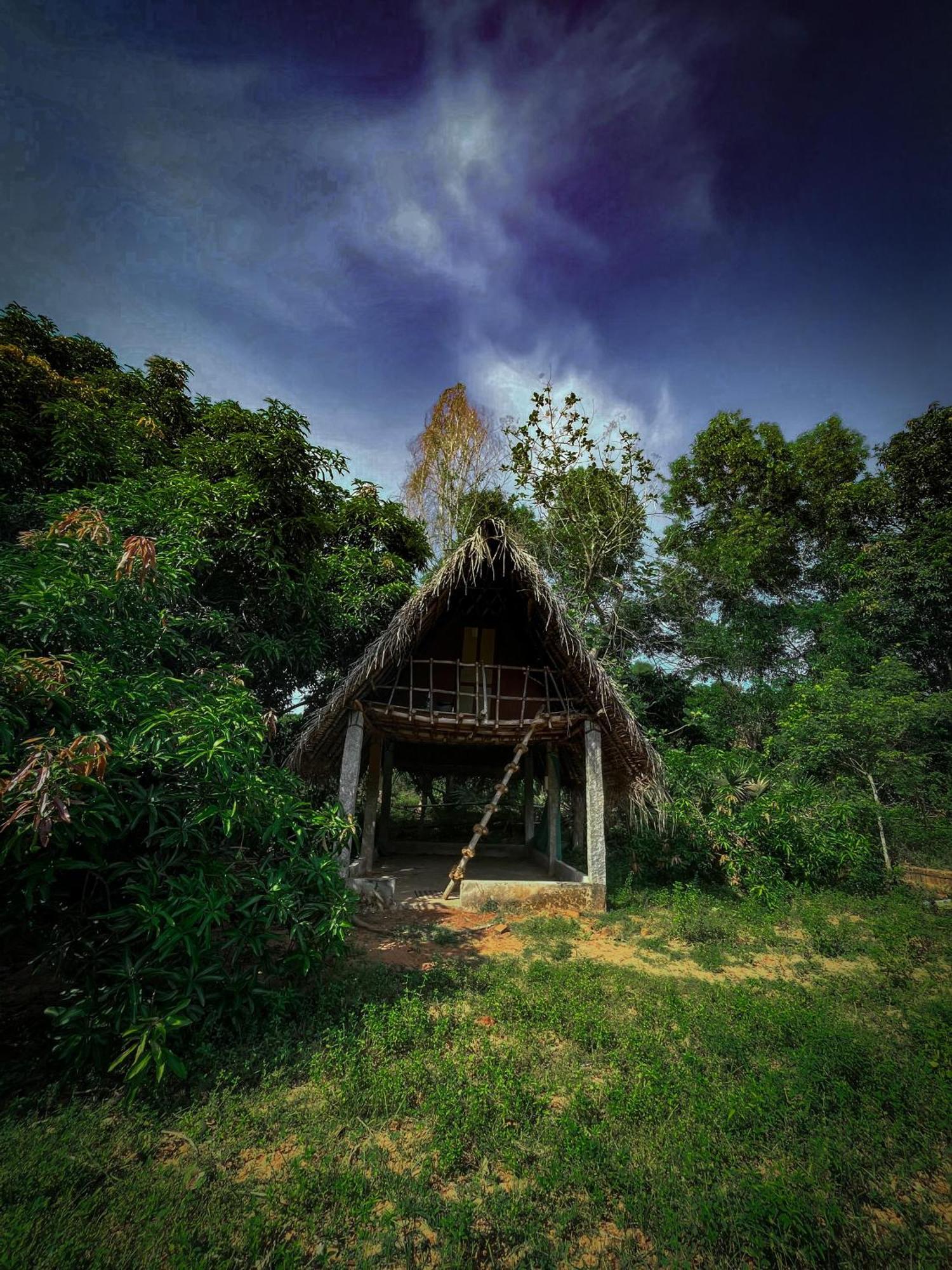 Art Forest Ποντισερί Εξωτερικό φωτογραφία