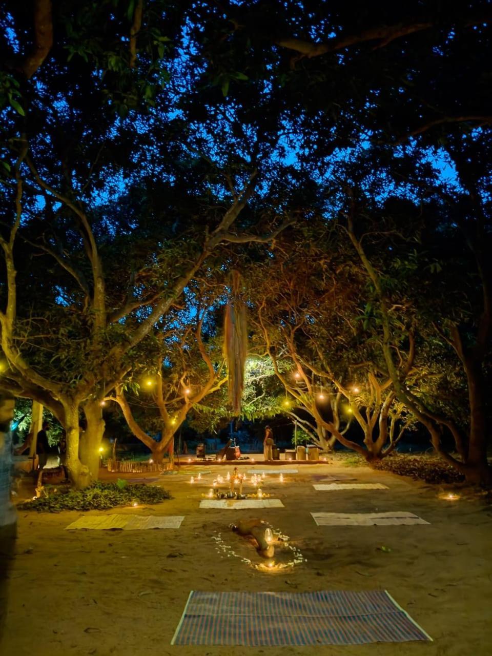 Art Forest Ποντισερί Εξωτερικό φωτογραφία